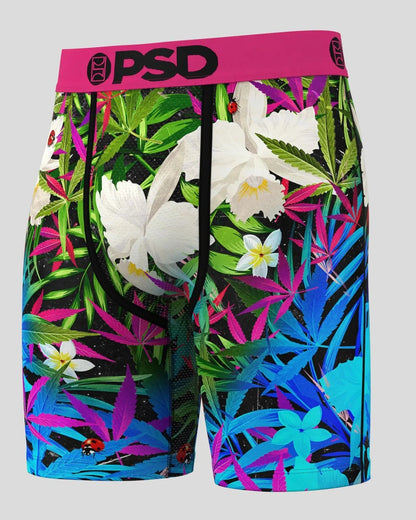 Men 6 Pack - Tropics - Standard Length | PSD