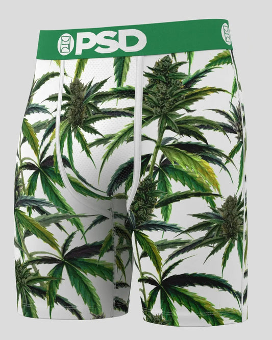 Men|Sale Buds & Bloom - Standard Length | PSD